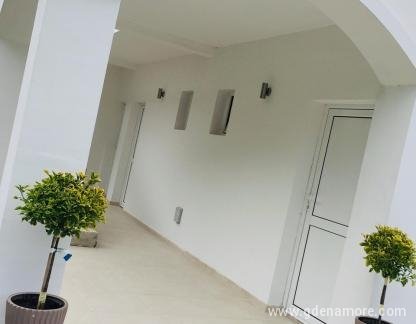Appartements Milasevic Canj, logement privé à Čanj, Monténégro - 60665092_466429470767643_1719642770026528768_n